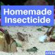 Homemade Insecticide to Get Rid of Crickets