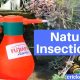 Natural Insecticides to Get Rid of Insects