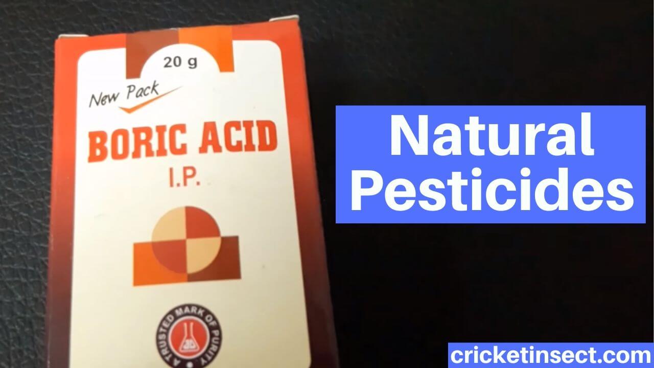 Natural Pesticides Crickets
