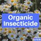 Organic Insecticide Organic Gardening