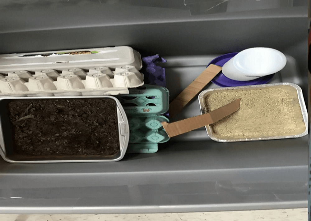 Cricket Brooder Setup