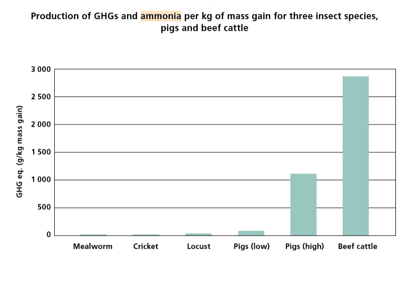 Production  of greenhouse gases and ammonia per kg of mass gain for three insect species, pigs and beef cattle